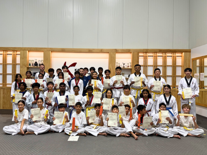 Taekwondo Program